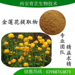 金蓮花提取物的市場價格與研發(fā)趨勢分析