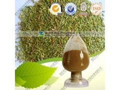 天然植物精華 優(yōu)質(zhì)小茴香提取物的研發(fā)與應(yīng)用