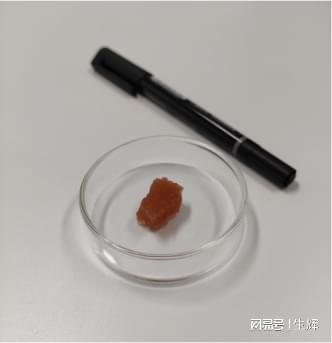 極麋生物突破 5種動物細胞培育成功，植物提取物引領(lǐng)培養(yǎng)基成本革命